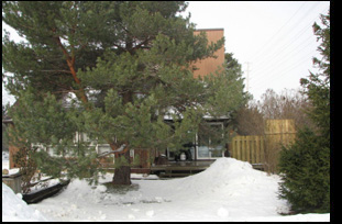 Home